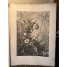 La flore pittoresque, croquis d'après nature par Edouard Muller, 1872.