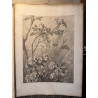 La flore pittoresque, croquis d'après nature par Edouard Muller, 1872.
