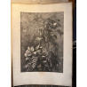 La flore pittoresque, croquis d'après nature par Edouard Muller, 1872.