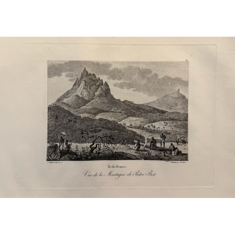Aperçu du produit: Voyage Pittoresque à l'ile de France, M.J.Milbert 1812. Pl n°29