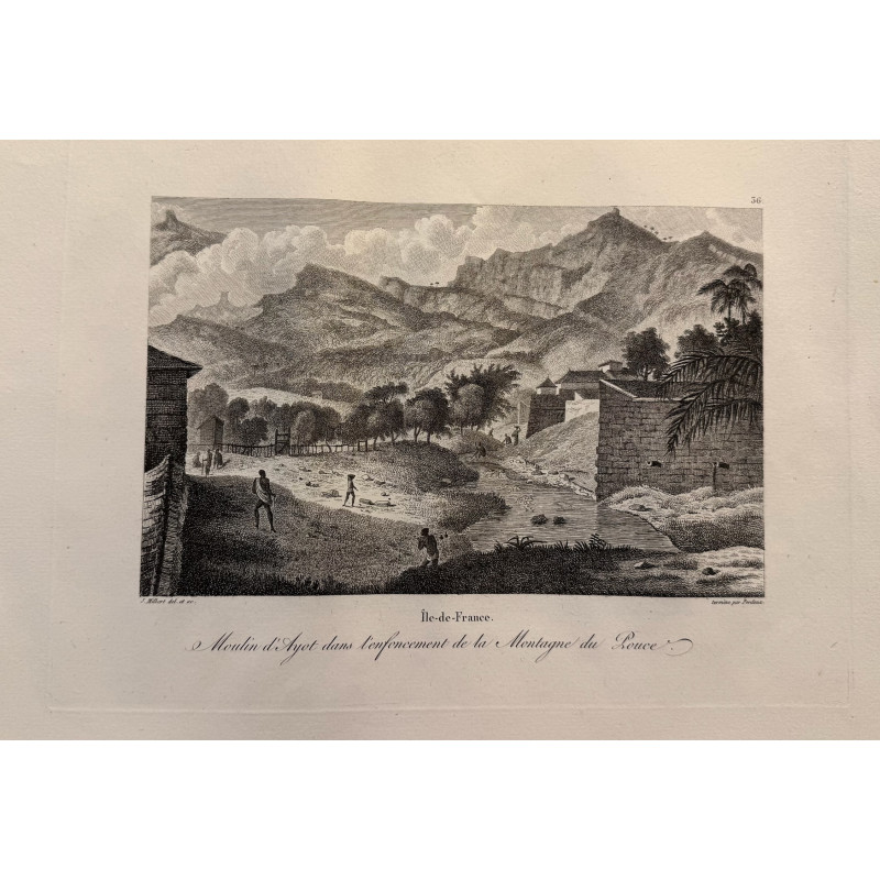 Aperçu du produit: Voyage Pittoresque à l'ile de France, M.J.Milbert 1812. Pl n°36