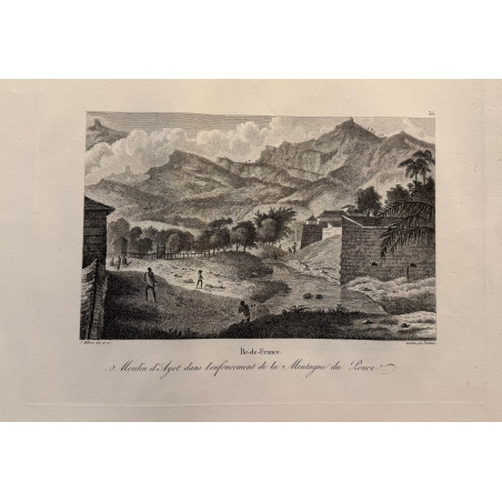 Voyage Pittoresque à l'ile de France, M.J.Milbert 1812. Pl n°36