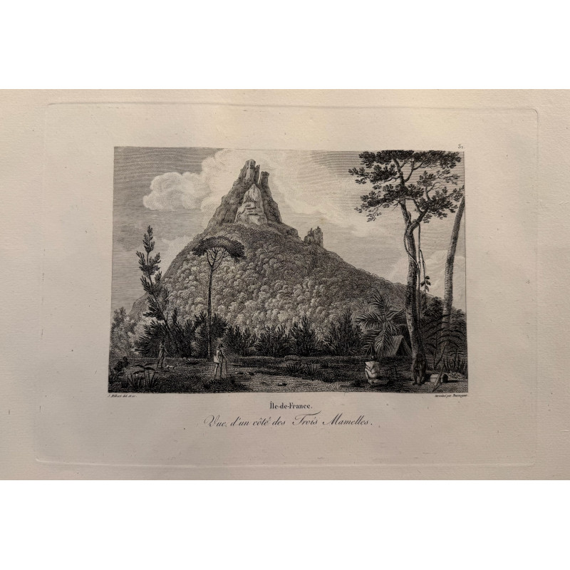 Aperçu du produit: Voyage Pittoresque à l'ile de France, M.J.Milbert 1812. Pl n°31
