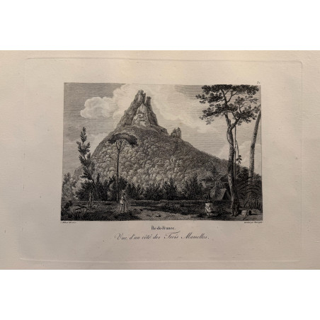 Voyage Pittoresque à l'ile de France, M.J.Milbert 1812. Pl n°31