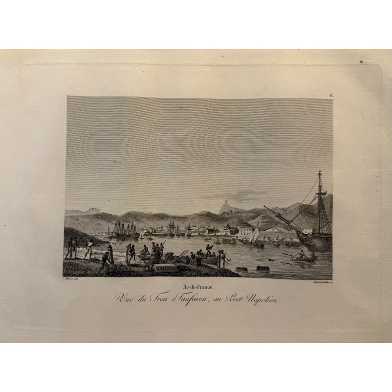 Aperçu du produit: Voyage Pittoresque à l'ile de France, M.J.Milbert 1812. Pl n°6
