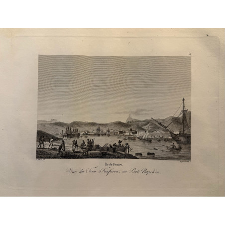 Voyage Pittoresque à l'ile de France, M.J.Milbert 1812. Pl n°6