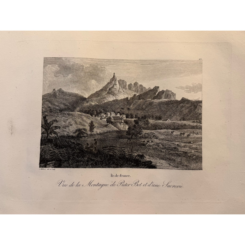 Aperçu du produit: Voyage Pittoresque à l'ile de France, M.J.Milbert 1812. Pl n°25