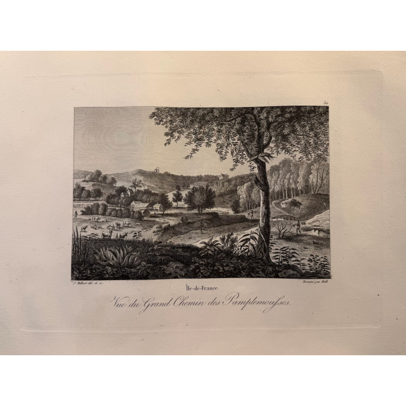 Aperçu du produit: Voyage Pittoresque à l'ile de France, M.J.Milbert 1812. Pl n°30