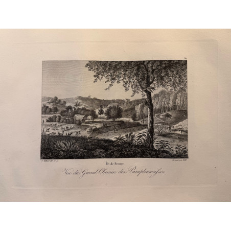 Voyage Pittoresque à l'ile de France, M.J.Milbert 1812. Pl n°30