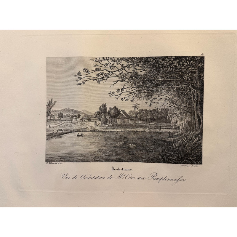 Aperçu du produit: Voyage Pittoresque à l'ile de France, M.J.Milbert 1812. Pl n°28