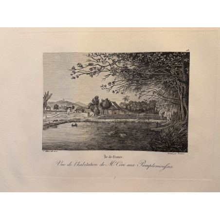 Voyage Pittoresque à l'ile de France, M.J.Milbert 1812. Pl n°28