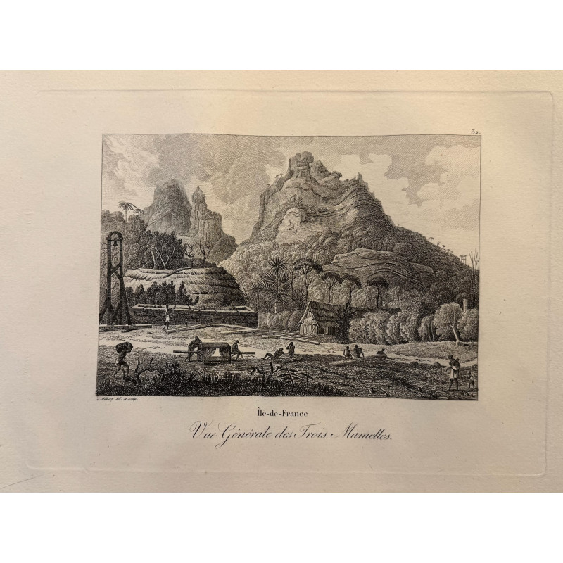 Aperçu du produit: Voyage Pittoresque à l'ile de France, M.J.Milbert 1812. Pl n°32