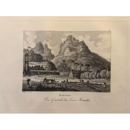 Voyage Pittoresque à l'ile de France, M.J.Milbert 1812. Pl n°32