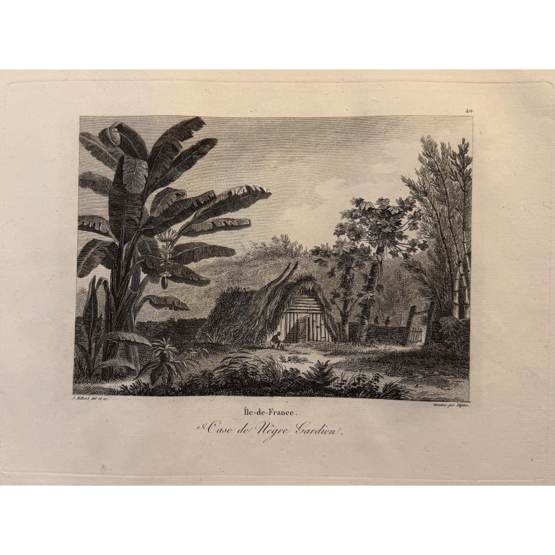 Aperçu du produit: Voyage Pittoresque à l'ile de France, M.J.Milbert 1812. Pl n°40