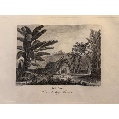 Voyage Pittoresque à l'ile de France, M.J.Milbert 1812. Pl n°40