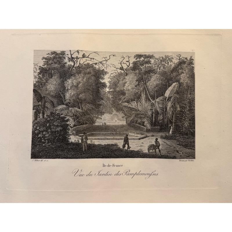 Aperçu du produit: Voyage Pittoresque à l'ile de France, M.J.Milbert 1812. Pl n°27