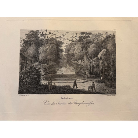 Voyage Pittoresque à l'ile de France, M.J.Milbert 1812. Pl n°27