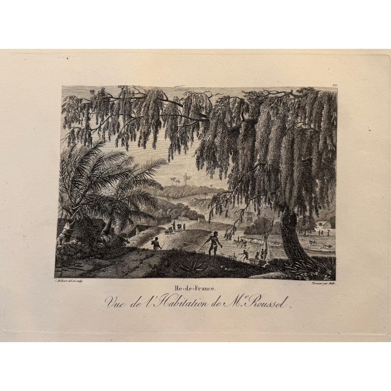 Aperçu du produit: Voyage Pittoresque à l'ile de France, M.J.Milbert 1812. Pl n°20