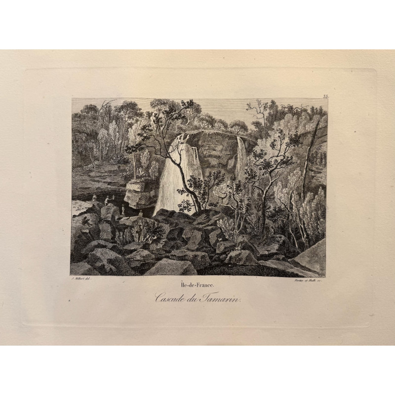Aperçu du produit: Voyage Pittoresque à l'ile de France, M.J.Milbert 1812. Pl n°33