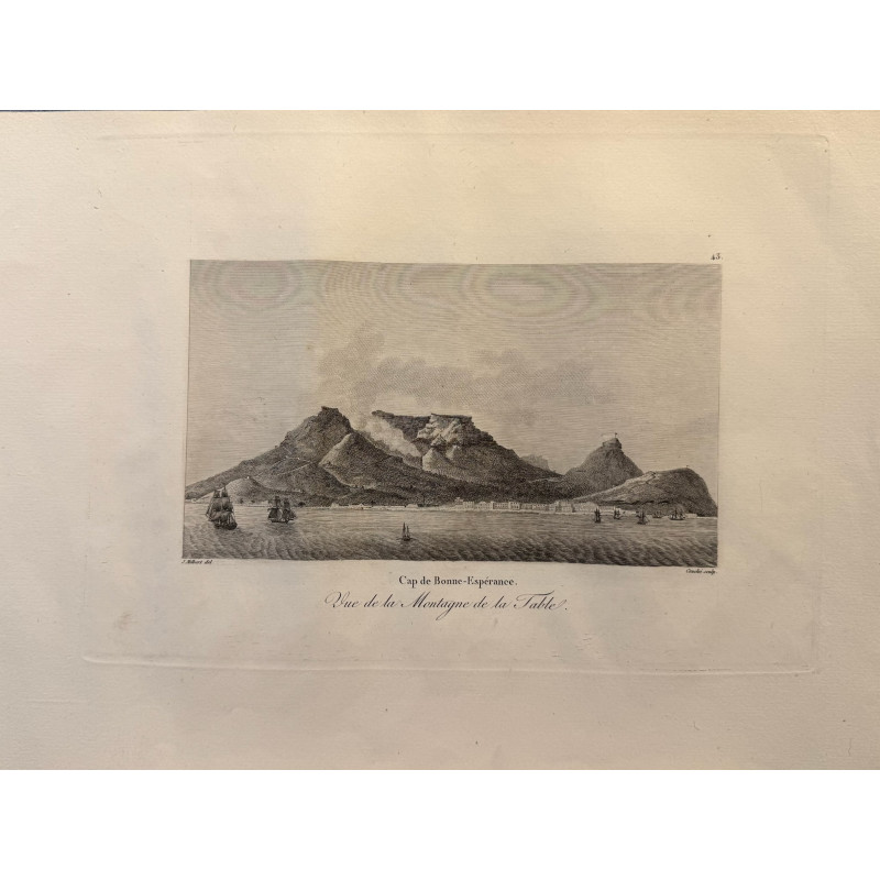 Aperçu du produit: Voyage Pittoresque à l'ile de France, M.J.Milbert 1812. Pl n°43