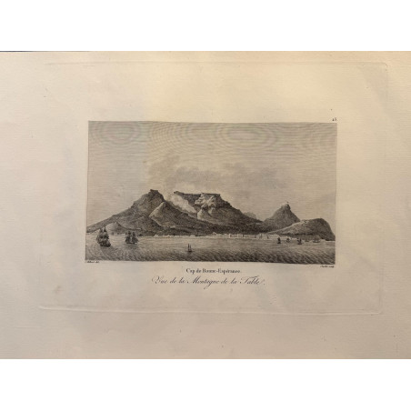Voyage Pittoresque à l'ile de France, M.J.Milbert 1812. Pl n°43