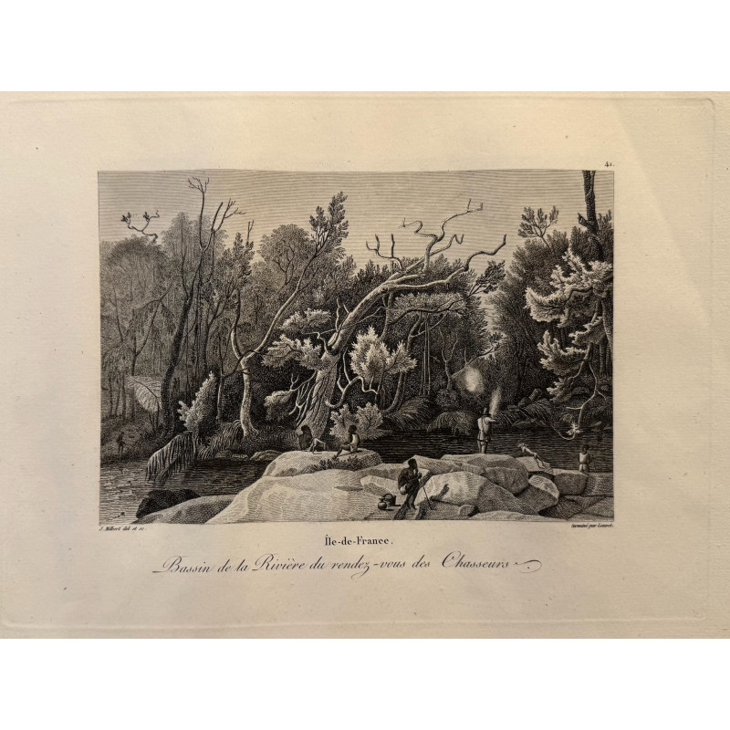 Aperçu du produit: Voyage Pittoresque à l'ile de France, M.J.Milbert 1812. Pl n°41