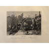 Voyage Pittoresque à l'ile de France, M.J.Milbert 1812. Pl n°41