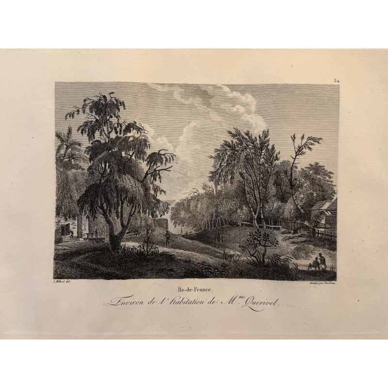 Aperçu du produit: Voyage Pittoresque à l'ile de France, M.J.Milbert 1812. Pl n°34