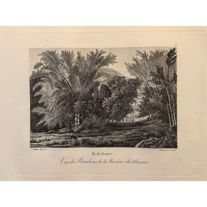 Aperçu du produit: Voyage Pittoresque à l'ile de France, M.J.Milbert 1812. Pl n°16