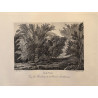 Voyage Pittoresque à l'ile de France, M.J.Milbert 1812. Pl n°16