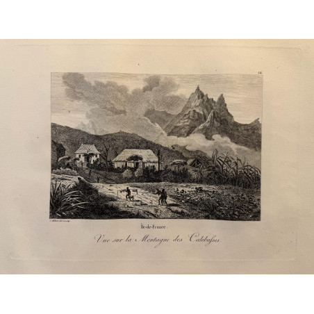 Voyage Pittoresque à l'ile de France, M.J.Milbert 1812. Pl n°24