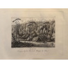 Voyage Pittoresque à l'ile de France, M.J.Milbert 1812. Pl n°14