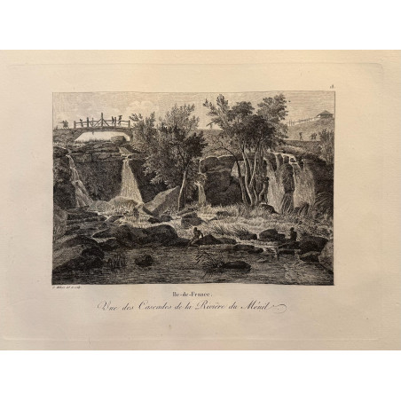 Voyage Pittoresque à l'ile de France, M.J.Milbert 1812. Pl n°18