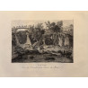 Voyage Pittoresque à l'ile de France, M.J.Milbert 1812. Pl n°18