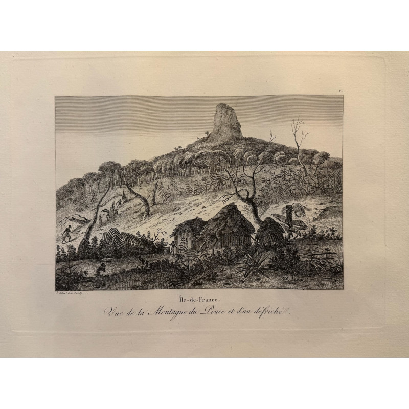 Aperçu du produit: Voyage Pittoresque à l'ile de France, M.J.Milbert 1812. Pl n°12