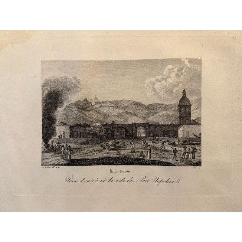 Aperçu du produit: Voyage Pittoresque à l'ile de France, M.J.Milbert 1812. Pl n°7