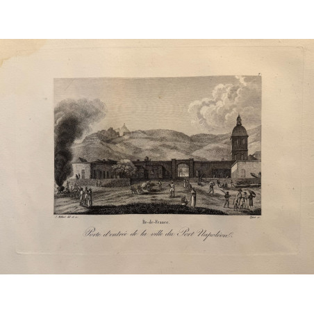 Voyage Pittoresque à l'ile de France, M.J.Milbert 1812. Pl n°7