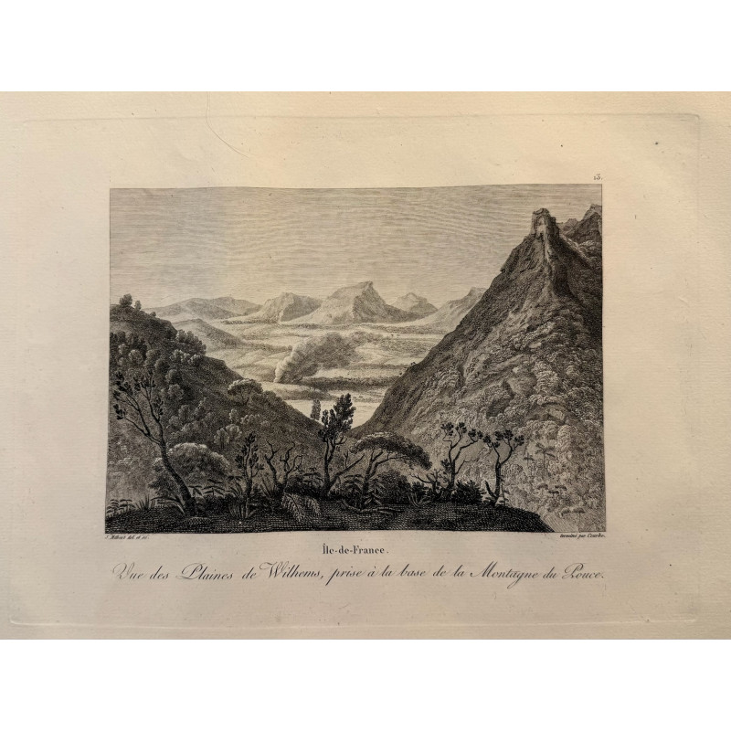 Aperçu du produit: Voyage Pittoresque à l'ile de France, M.J.Milbert 1812. Pl n°13