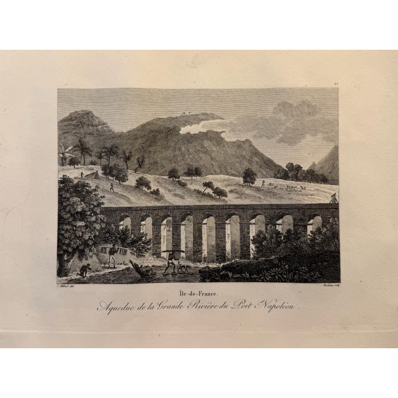 Aperçu du produit: Voyage Pittoresque à l'ile de France, M.J.Milbert 1812. Pl n°21