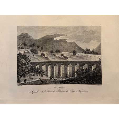 Voyage Pittoresque à l'ile de France, M.J.Milbert 1812. Pl n°21