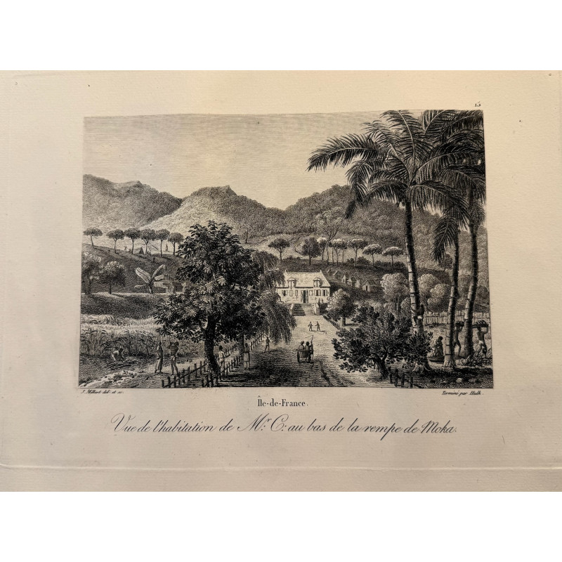 Aperçu du produit: Voyage Pittoresque à l'ile de France, M.J.Milbert 1812. Pl n°15
