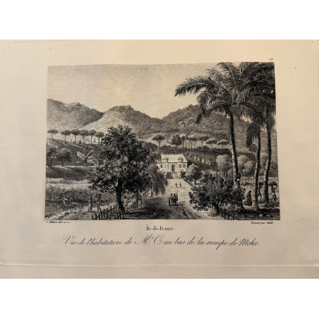 Voyage Pittoresque à l'ile de France, M.J.Milbert 1812. Pl n°15