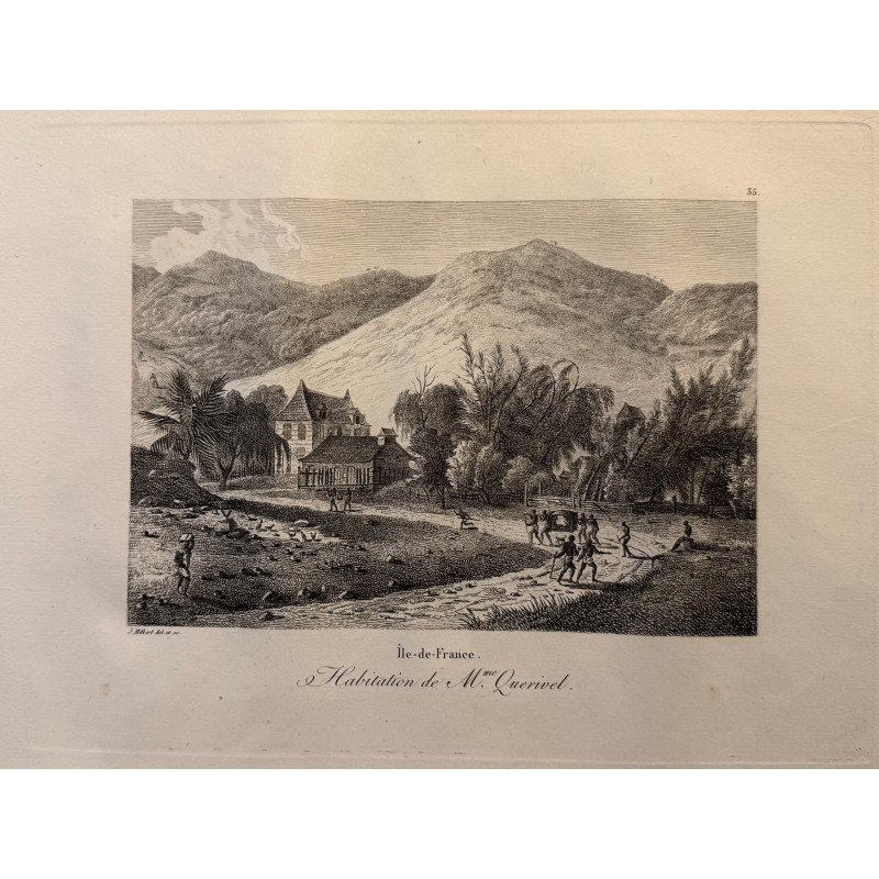 Aperçu du produit: Voyage Pittoresque à l'ile de France, M.J.Milbert 1812. Pl n°35