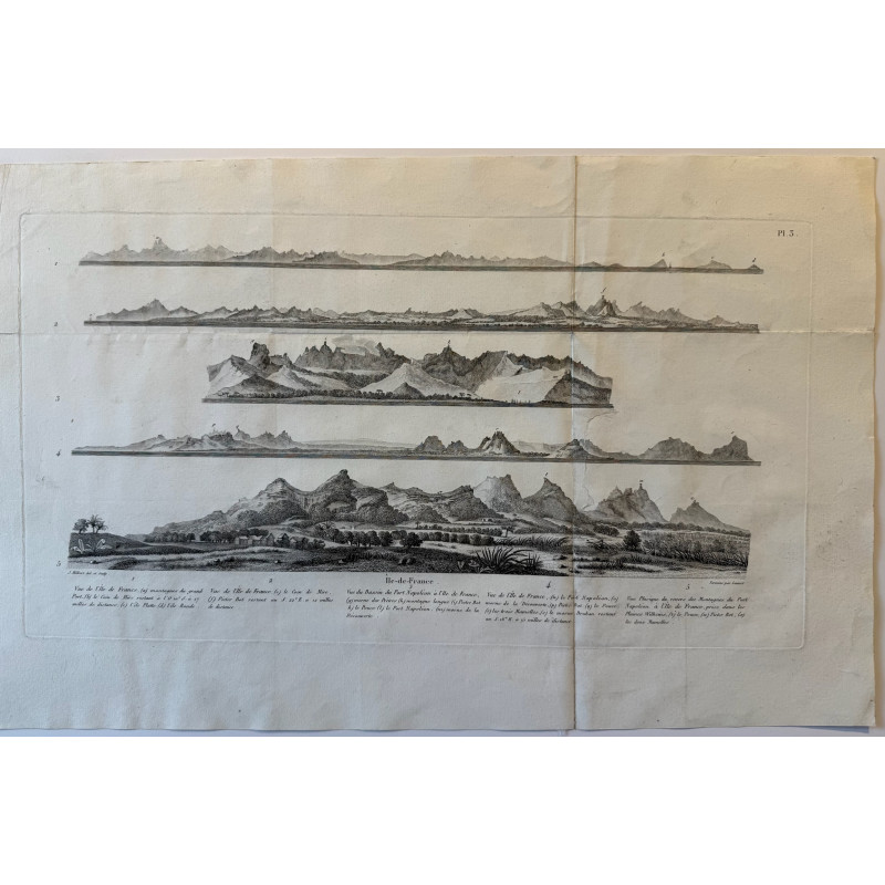 Aperçu du produit: Voyage Pittoresque à l'ile de France, M.J.Milbert 1812. Pl n°5