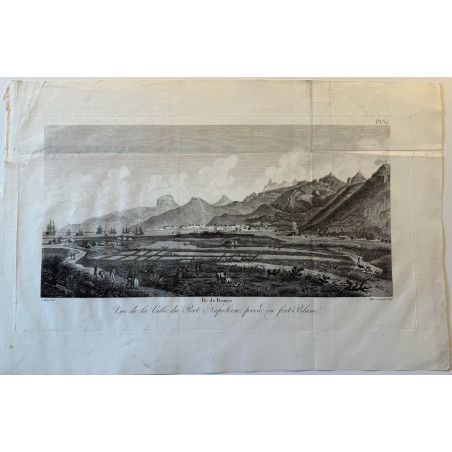 Voyage Pittoresque à l'ile de France, M.J.Milbert 1812. Pl n°39