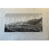Voyage Pittoresque à l'ile de France, M.J.Milbert 1812. Pl n°39