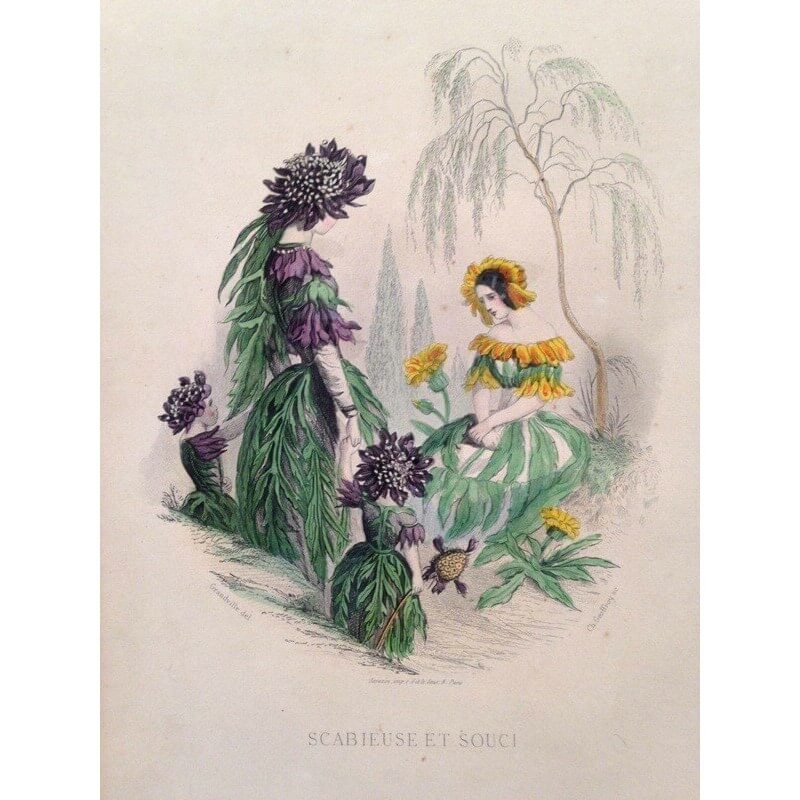 Détails Sur Les Fleurs Animées Jj Grandville 1848