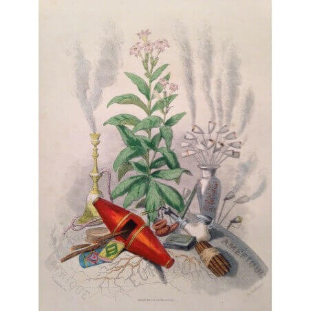 les fleurs animées J.J GRANDVILLE 1848