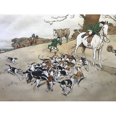 The Harefield Harriers, who Whoop, Cecil Aldin 1908