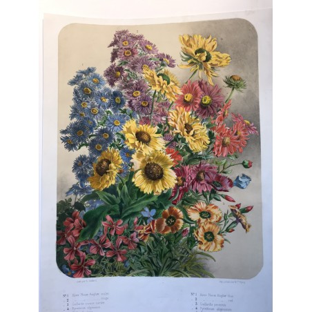 Bouquet de fleurs, Elisa CHAMPIN pour Vilmorin et Andrieux, vers 1850-1860.